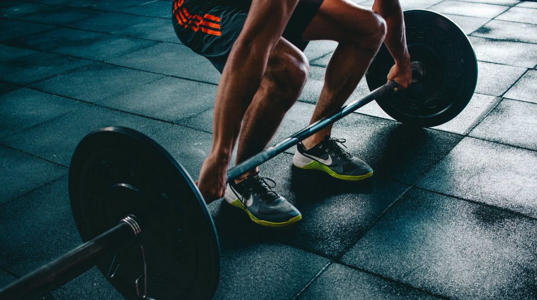 Muscle Building Supplements & Tips