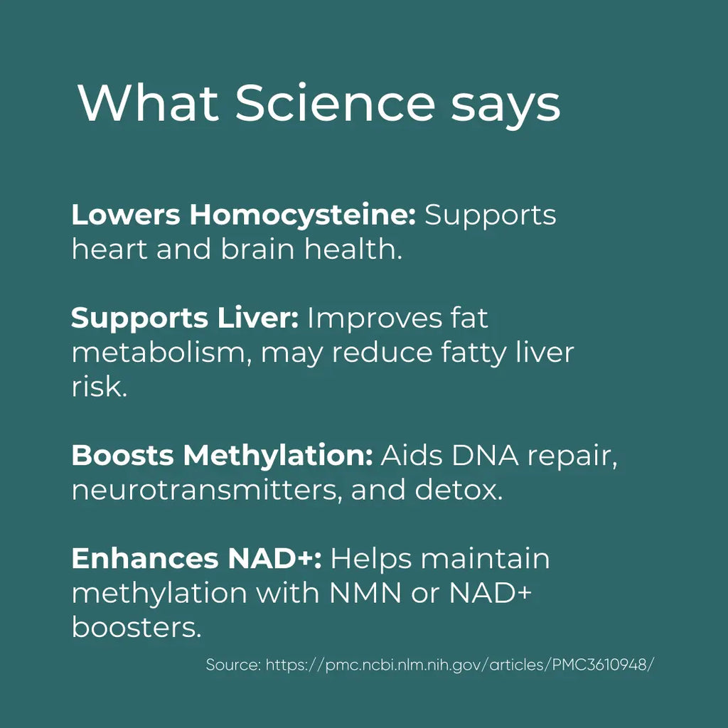 TMG Supplement