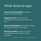 TMG Supplement