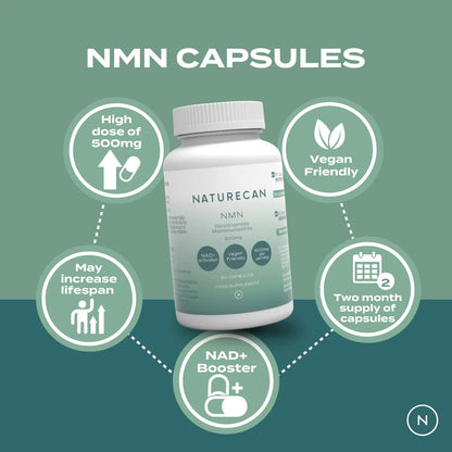 NMN Supplement – 500mg Capsules | 99% Purity