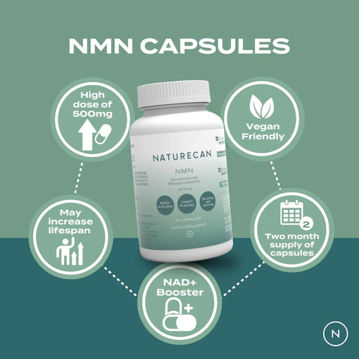 NMN Supplement – 500mg Capsules | 99% Purity