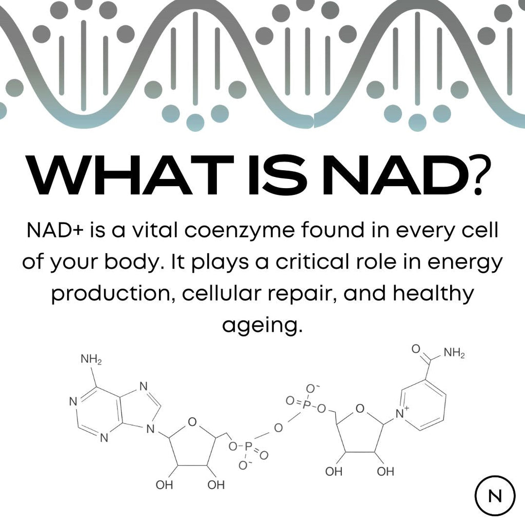 Infographic explaining the role of NAD+ in cellular repair and energy, with chemical structures displayed.