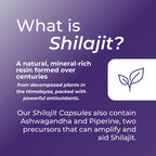 Shilajit Capsules | 600 mg per capsule | With Ashwagandha and Piperine