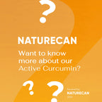 more about active curcumin