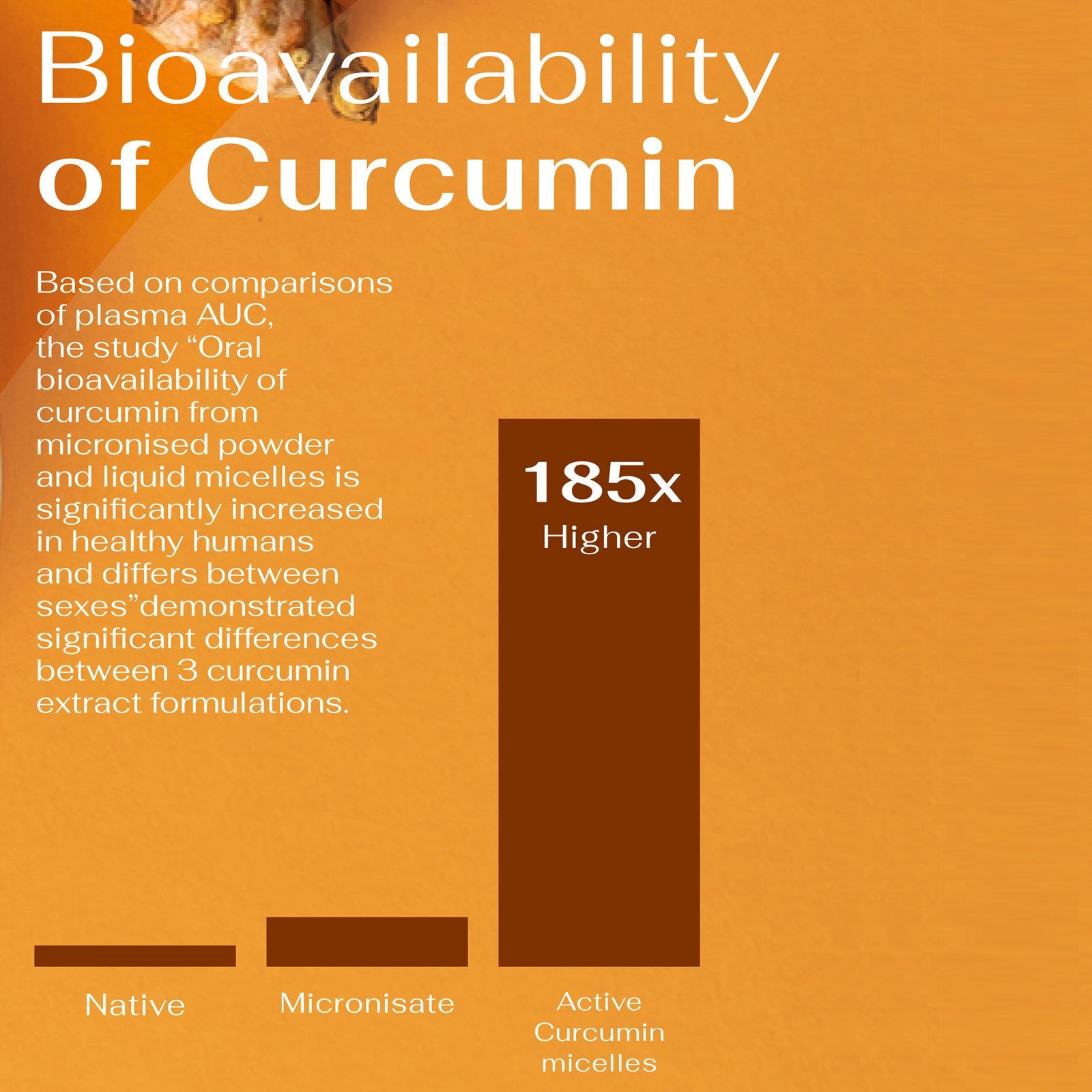 bioavailability of curcumin